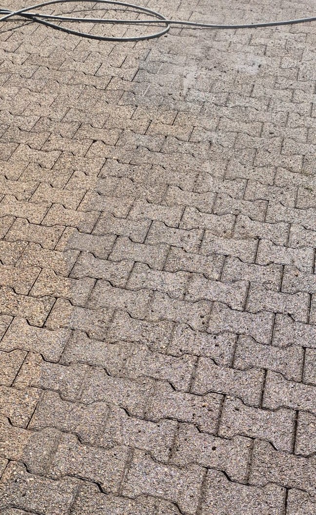 Pflasterreinigung Einfahrt in Rielasingen-Worblingen – vorher